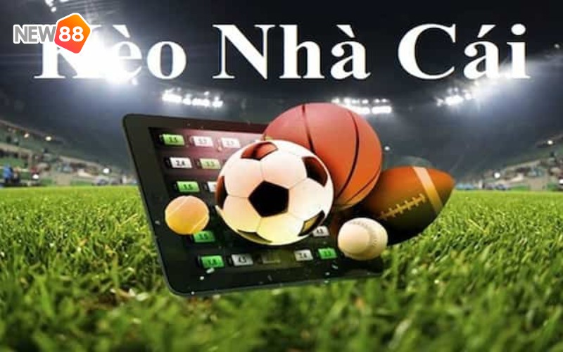 Bí kíp chinh phục kèo nhà cái tại New88 luôn thắng