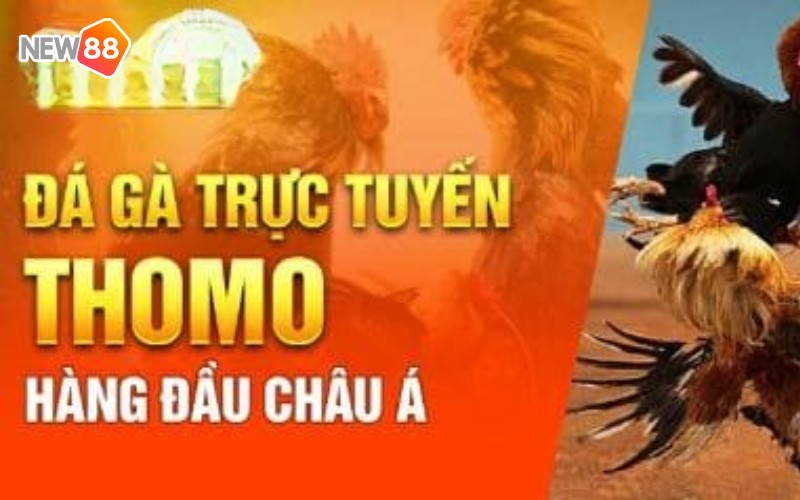 Những điều thú vị có trong loại hình này