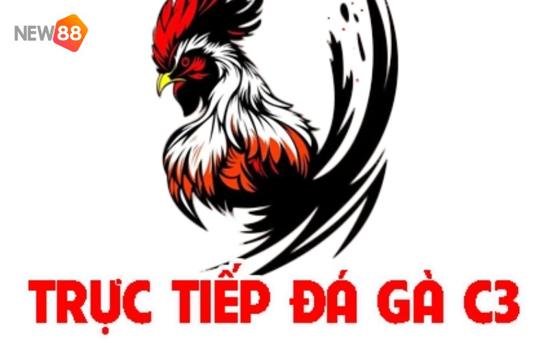 Thông tin chung về trường gà C3