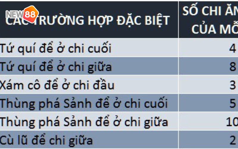 Trường hợp đặc biệt để người chơi nhận diện